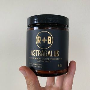 Root + Bones astragalus